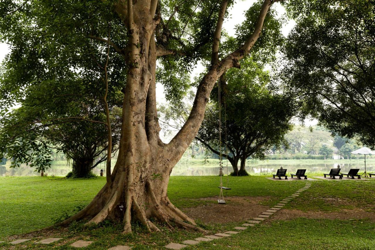 The Legend Chiang Rai Boutique River Resort & Spa Esterno foto